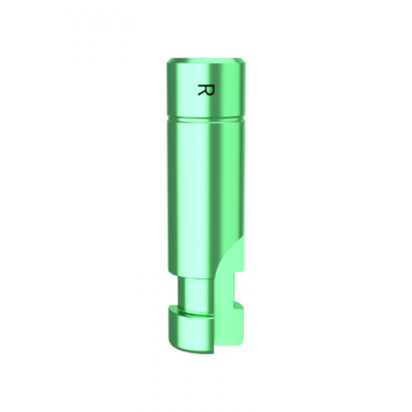 Replika DMR