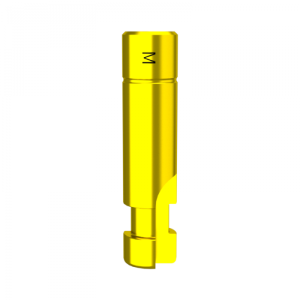 Replika DMR Mini